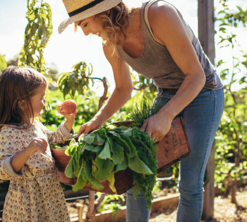 Seguro de vida Vida Agrícola