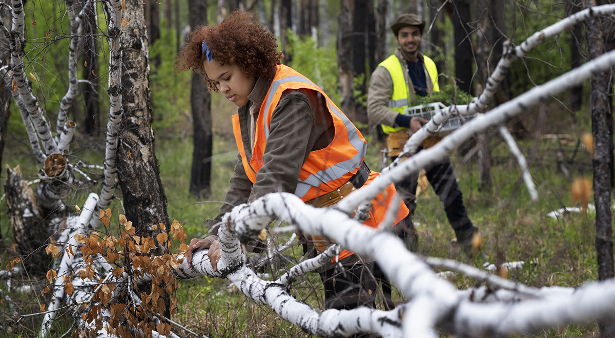 prevención forestal