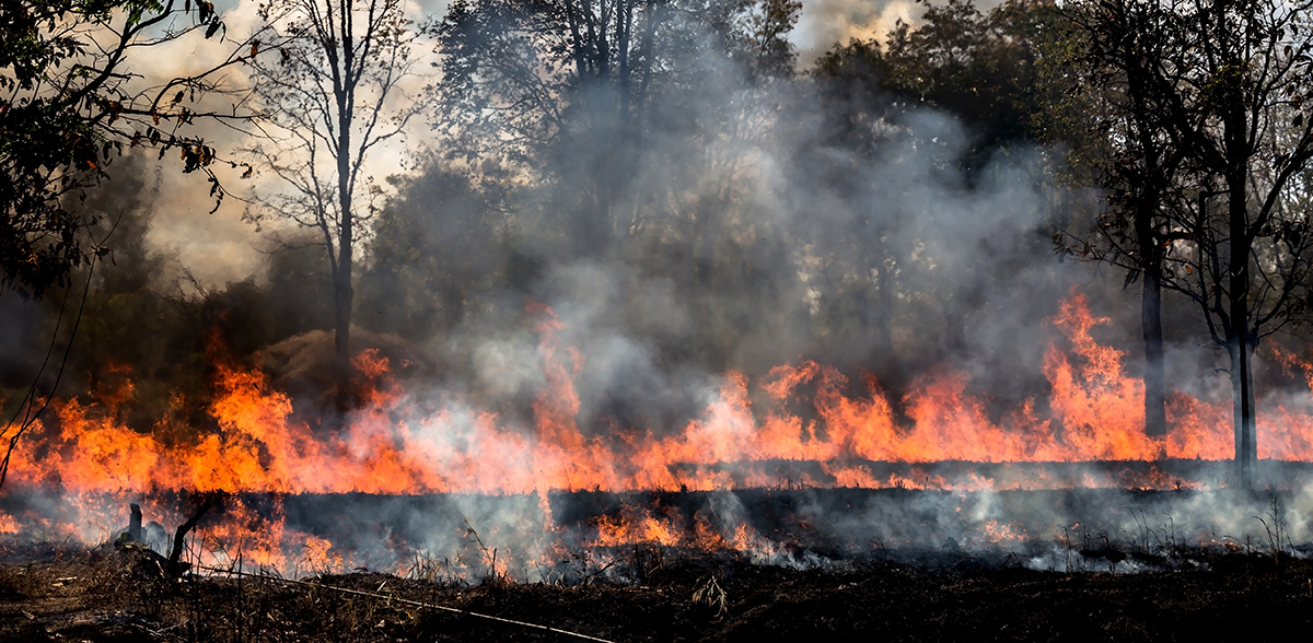 incendio en castilla y león